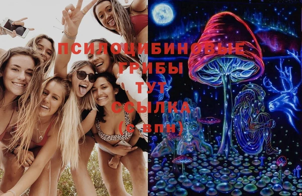 синтетический гашиш Няндома