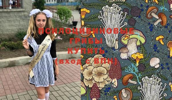синтетический гашиш Няндома