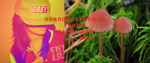 синтетический гашиш Няндома