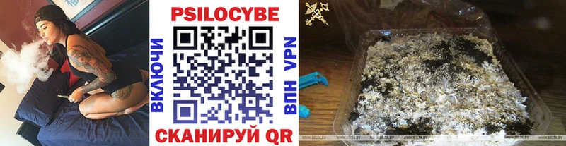 Псилоцибиновые грибы Cubensis  Краснообск 