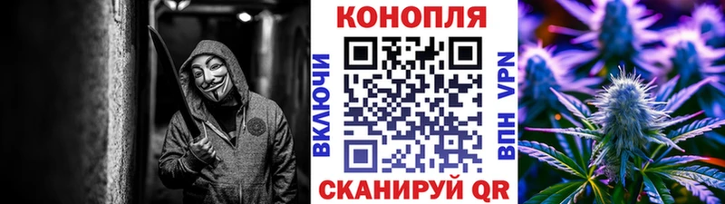 Бошки марихуана VHQ  наркота  Краснообск 